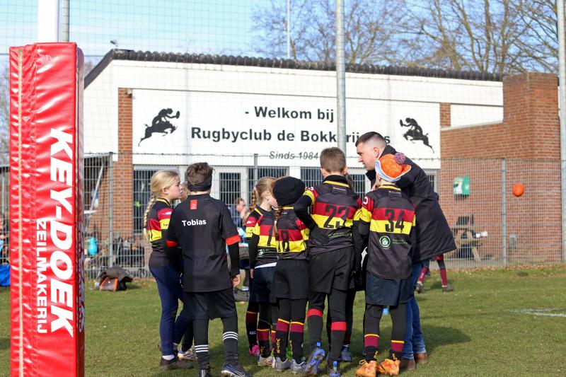rugby tbm bokkerijders wallabys vets