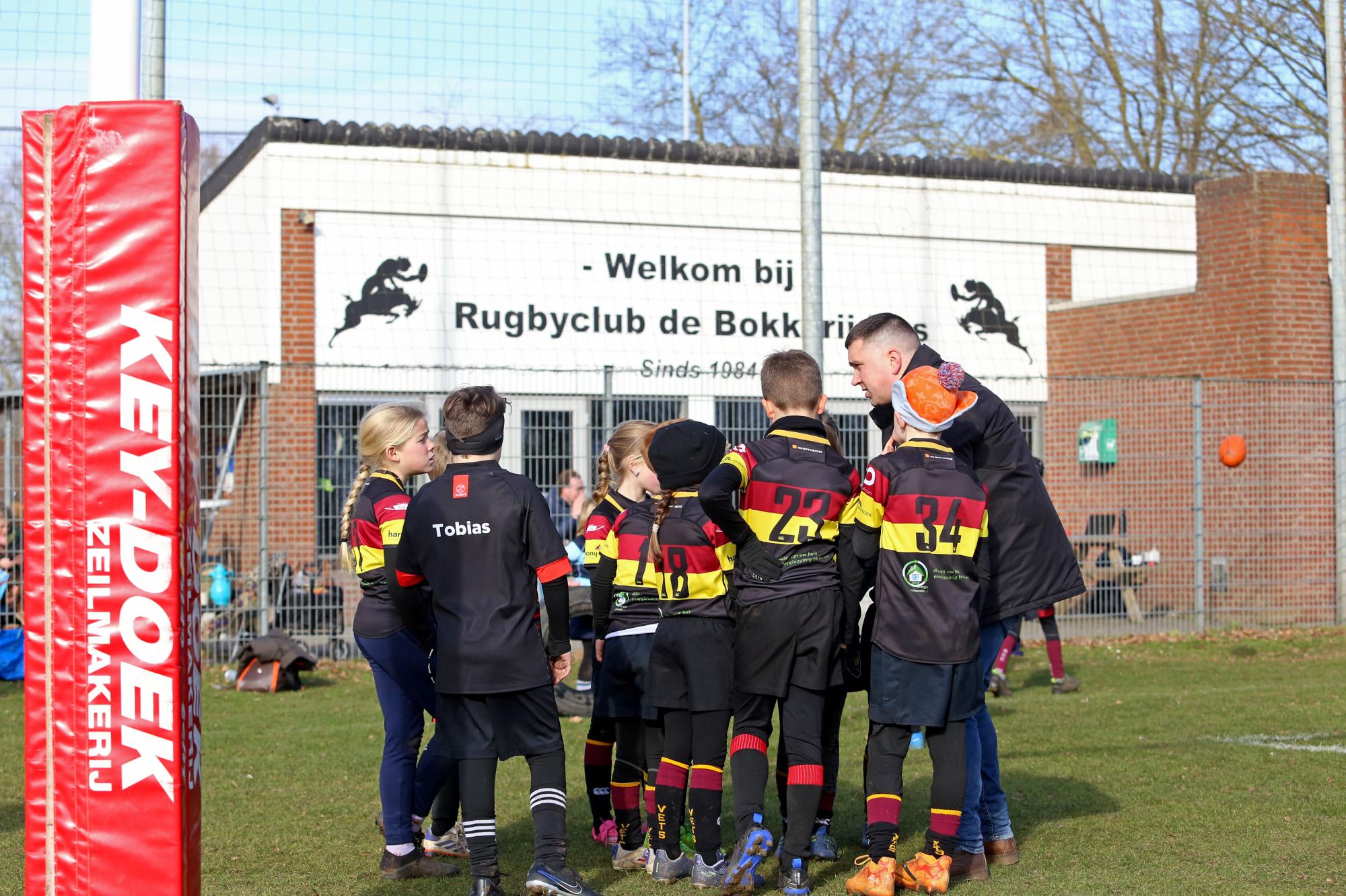 rugby tbm bokkerijders wallabys vets