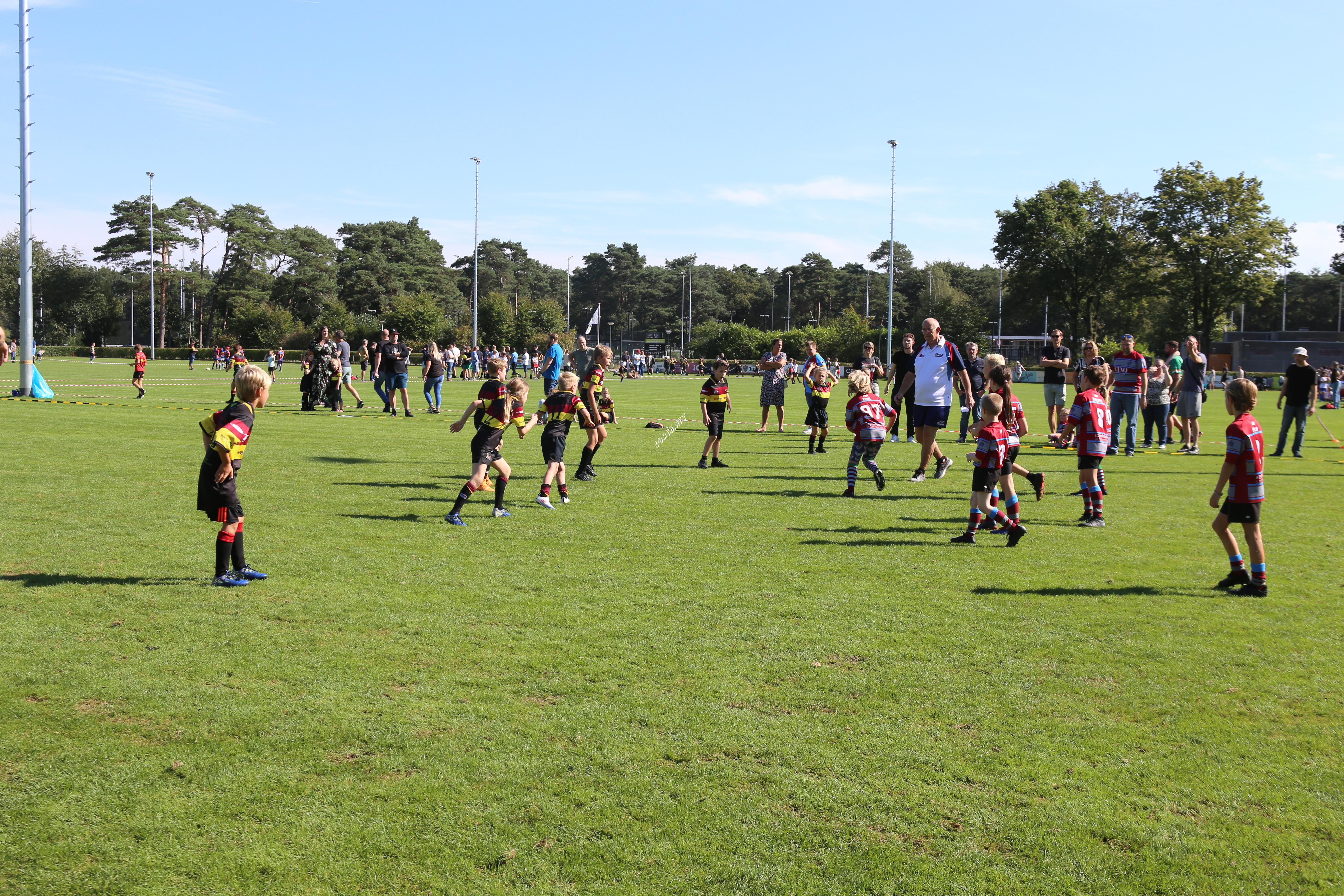 Rugby Benjamins
