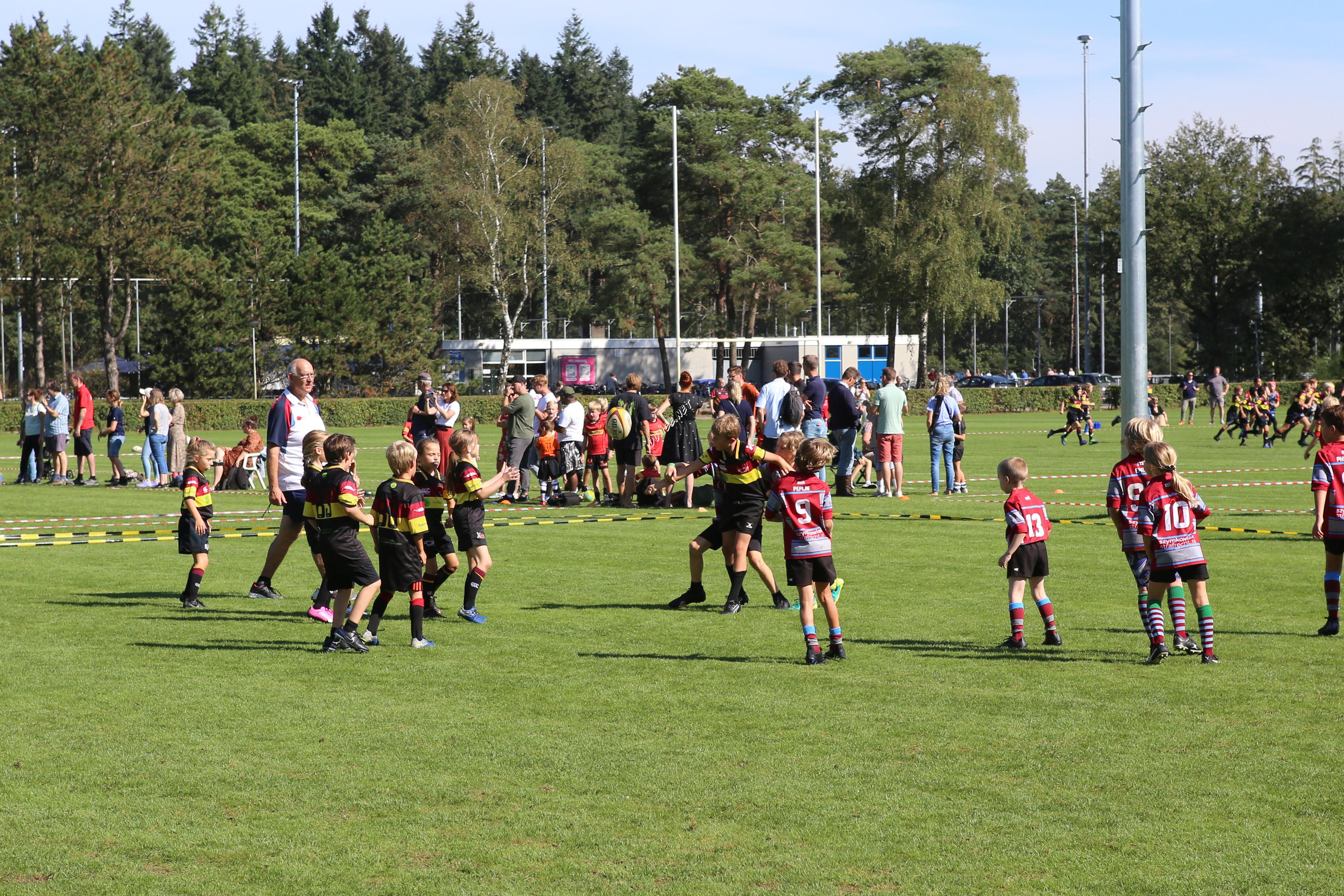 Rugby Benjamins