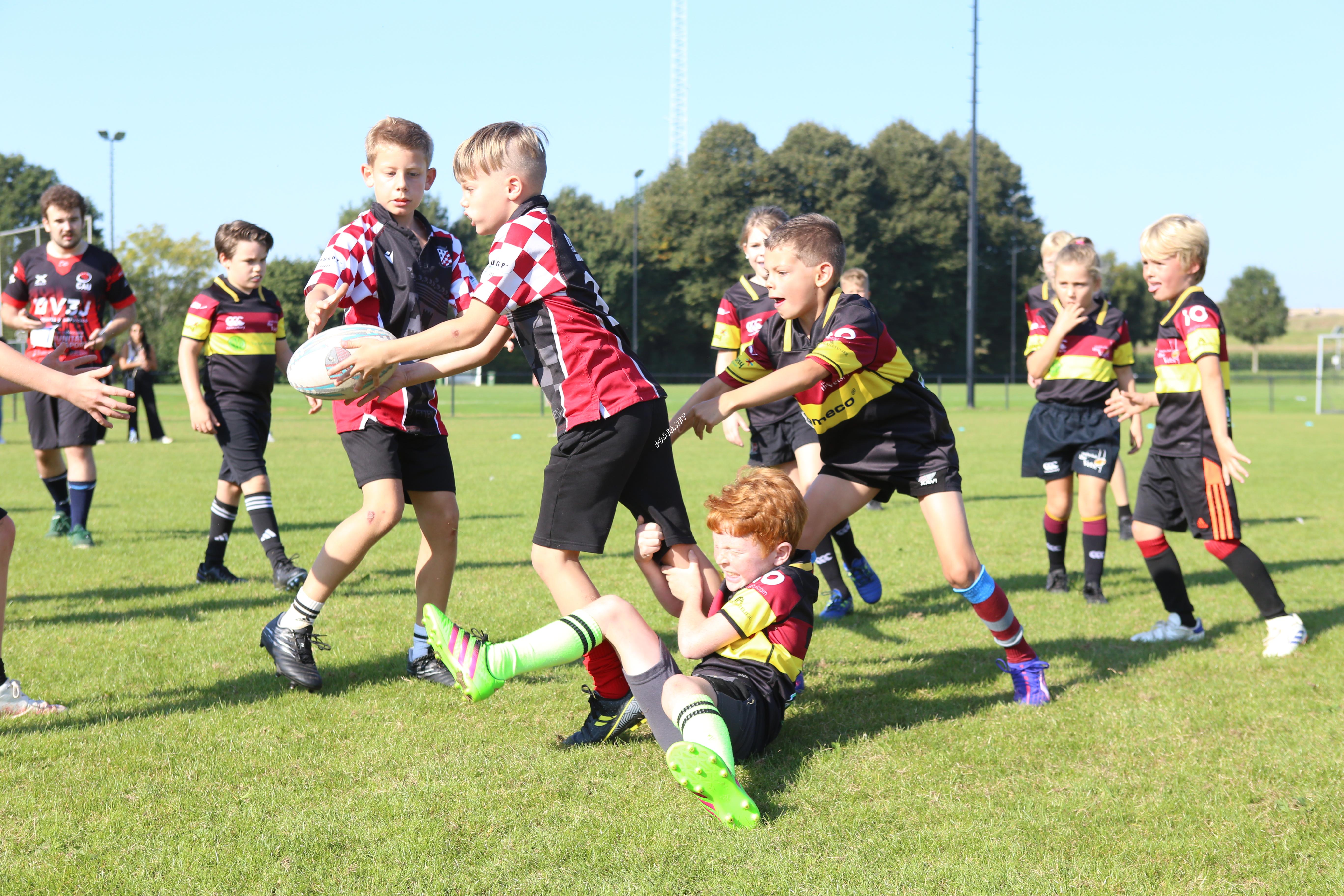 Rugby benjamins