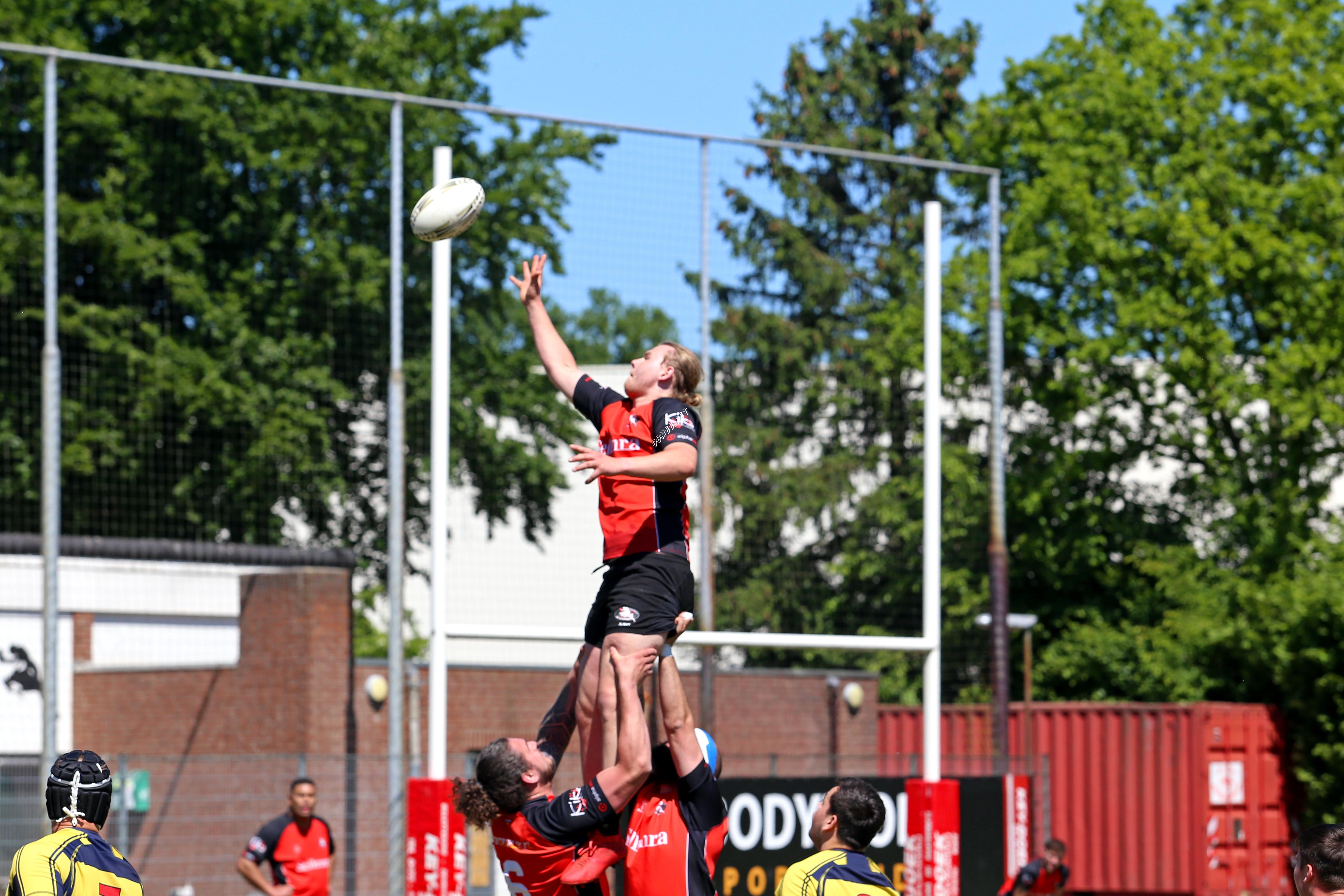 rugby senioren bokkerijders wallabys