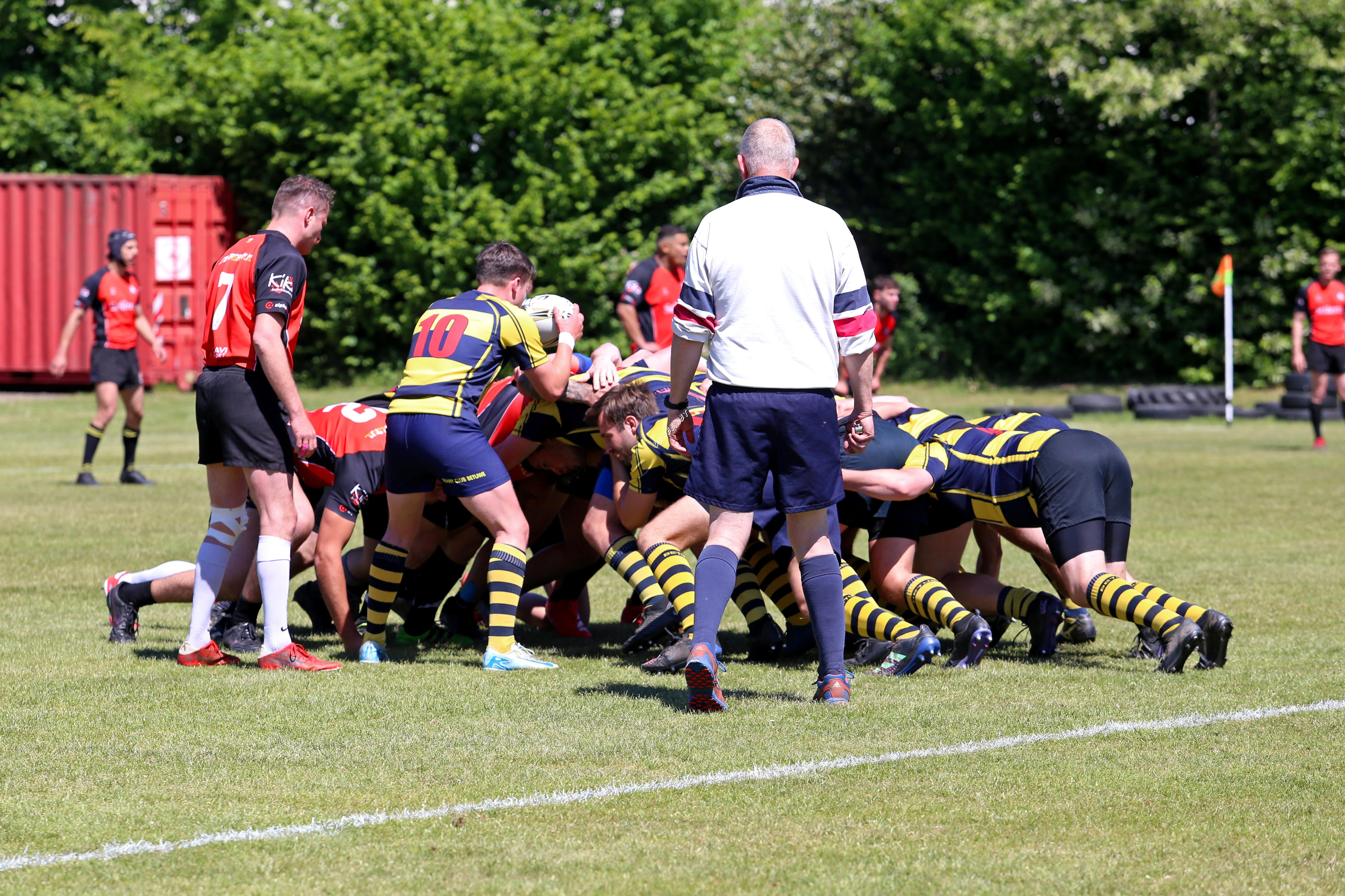 rugby senioren bokkerijders wallabys