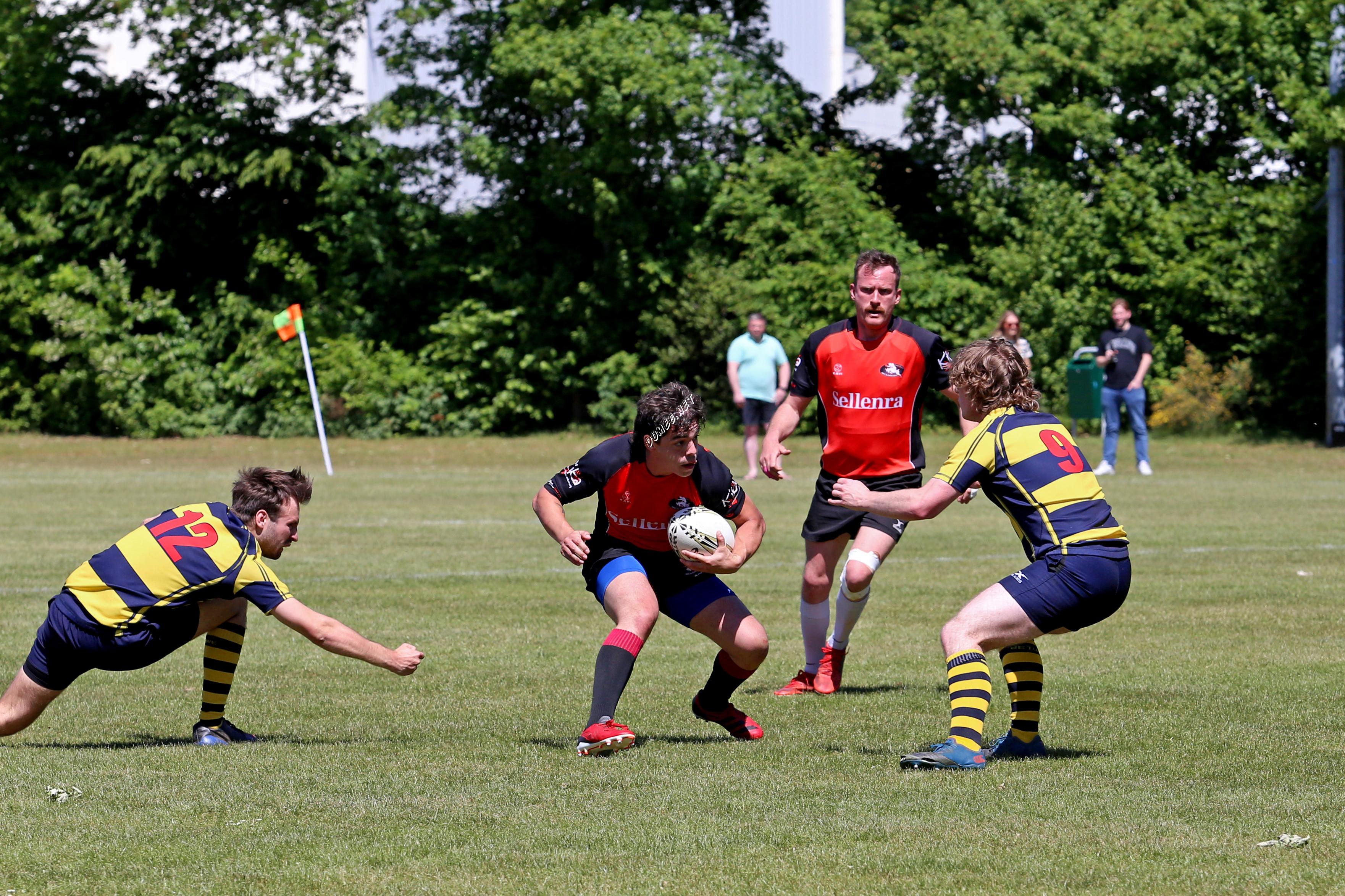 rugby senioren bokkerijders wallabys