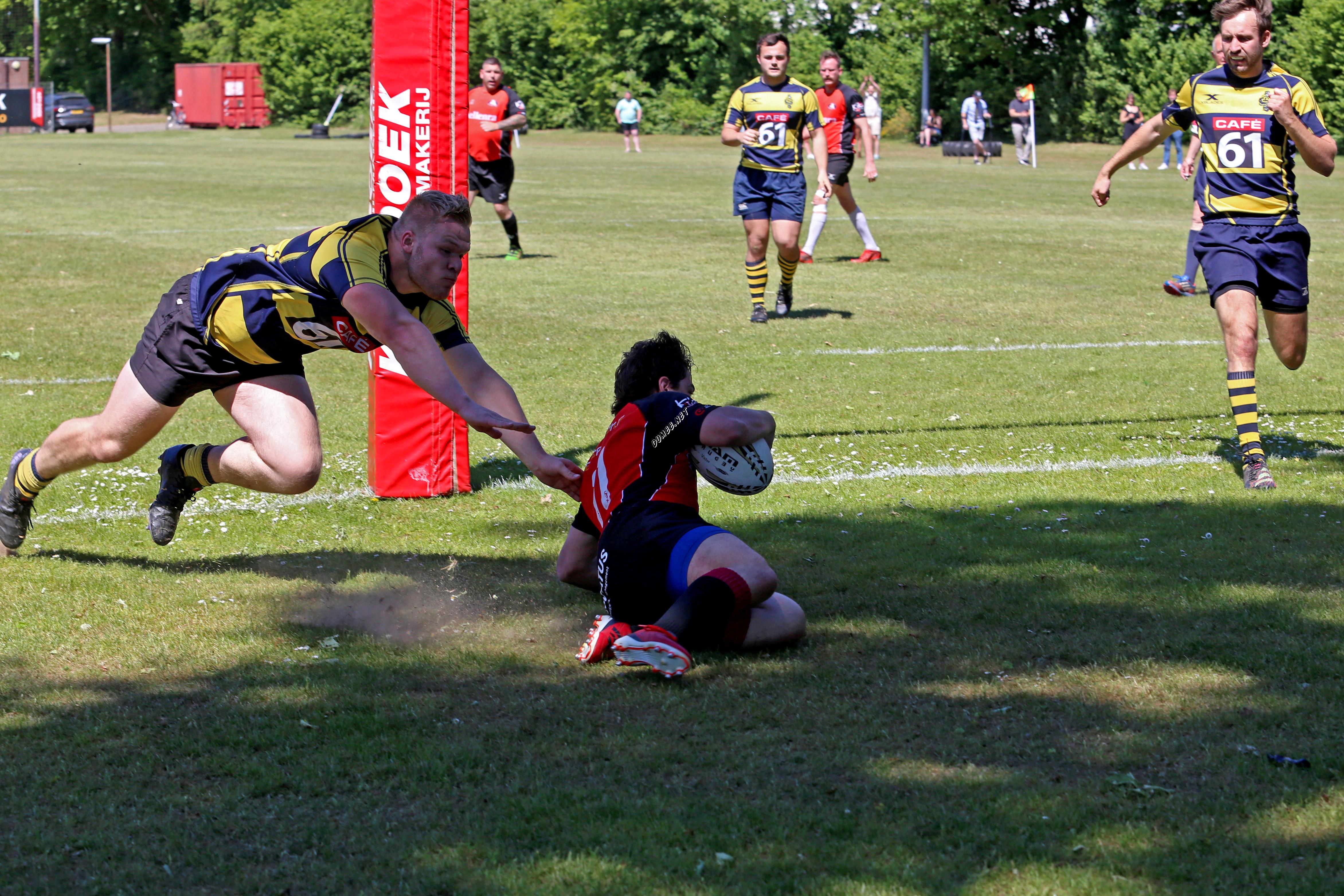 rugby senioren bokkerijders wallabys