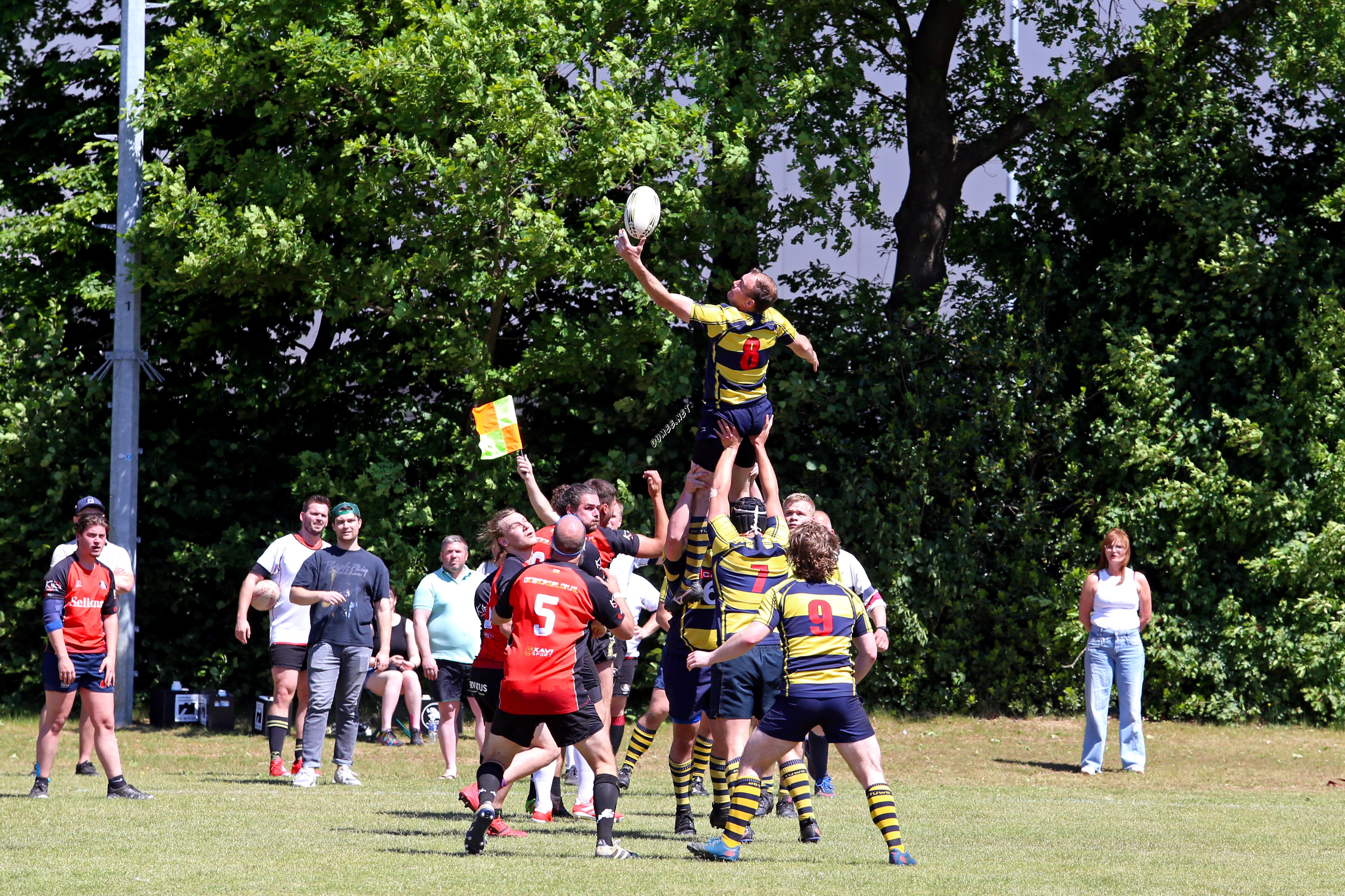 rugby senioren bokkerijders wallabys
