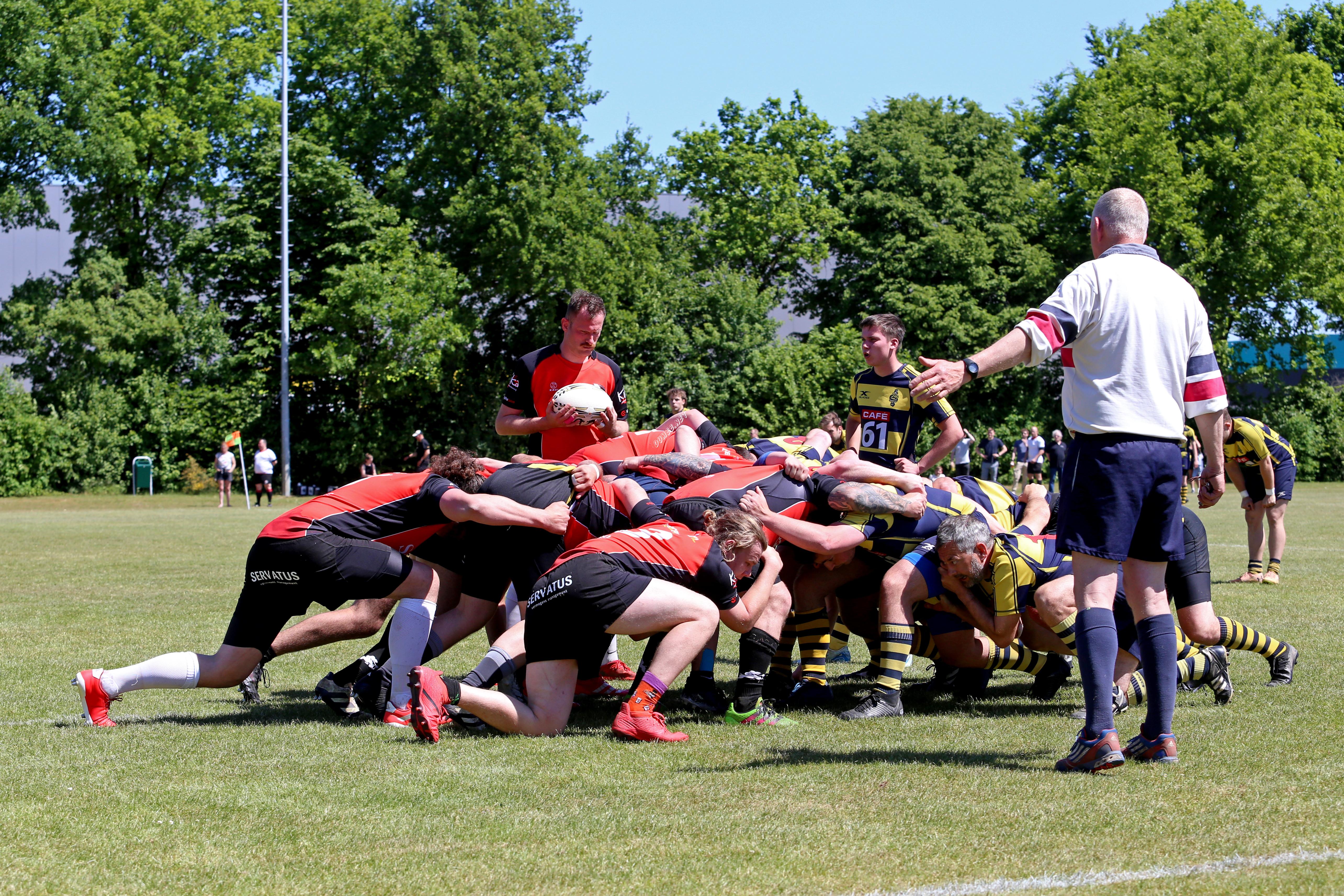 rugby senioren bokkerijders wallabys