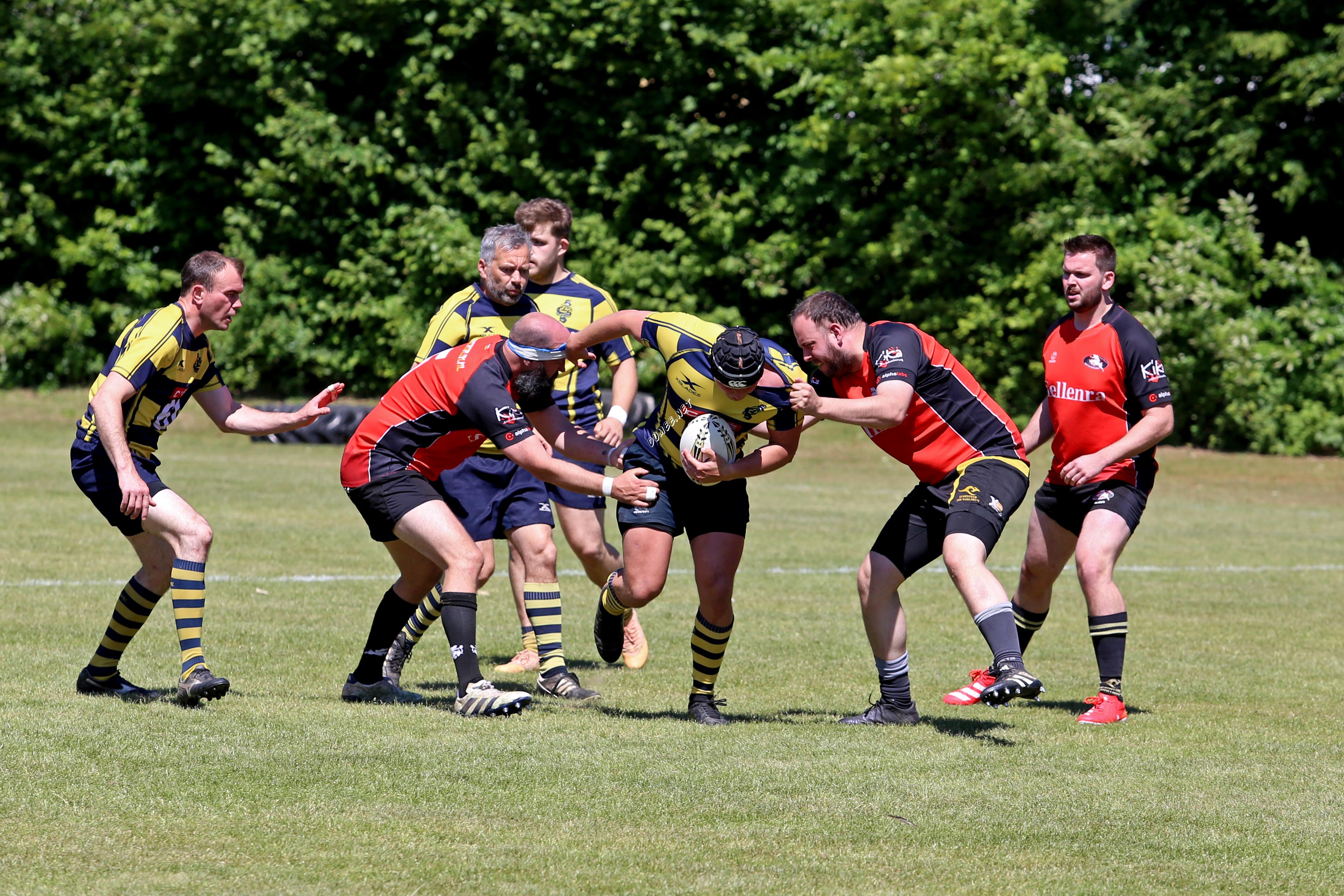 rugby senioren bokkerijders wallabys