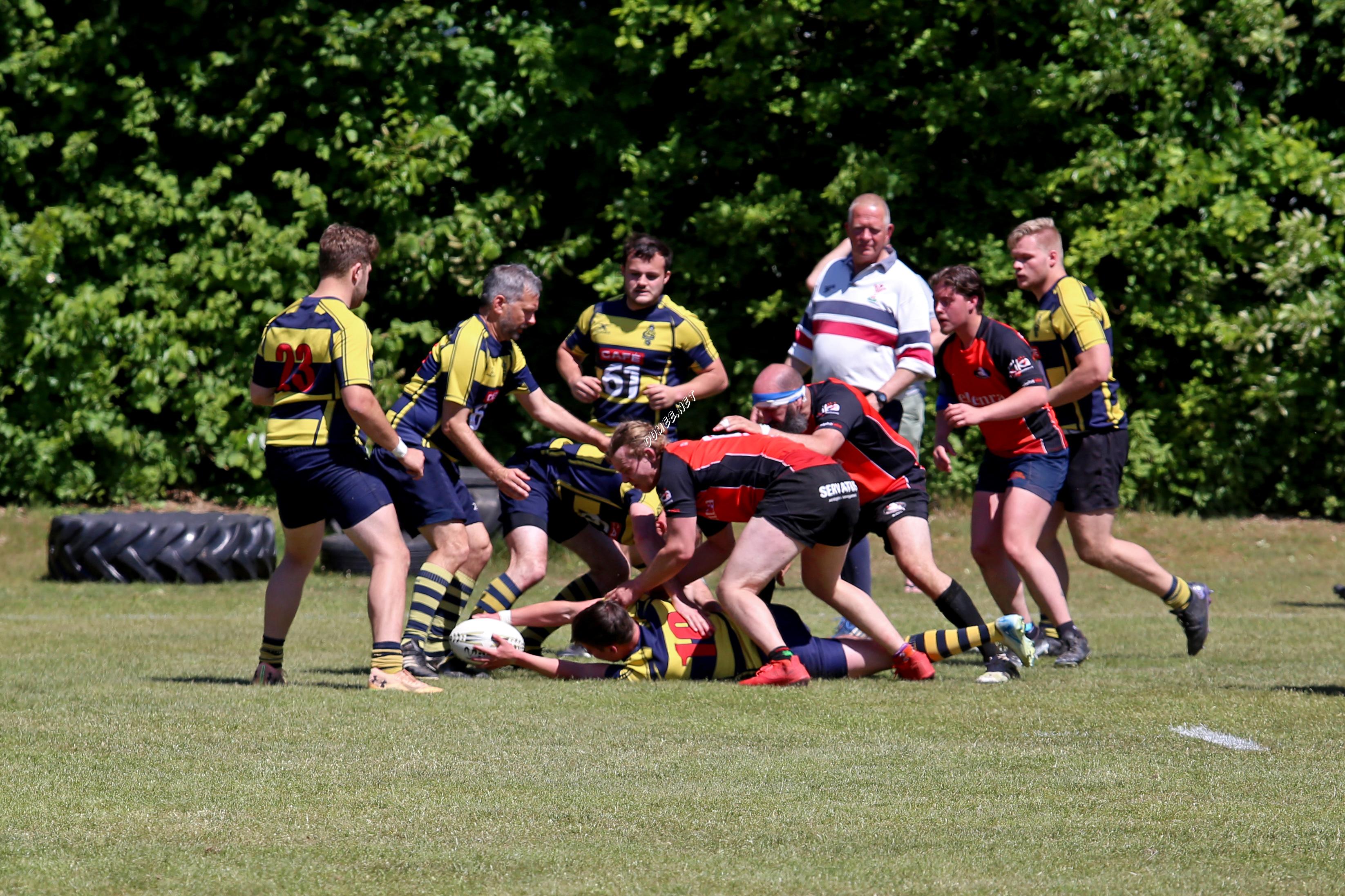 rugby senioren bokkerijders wallabys
