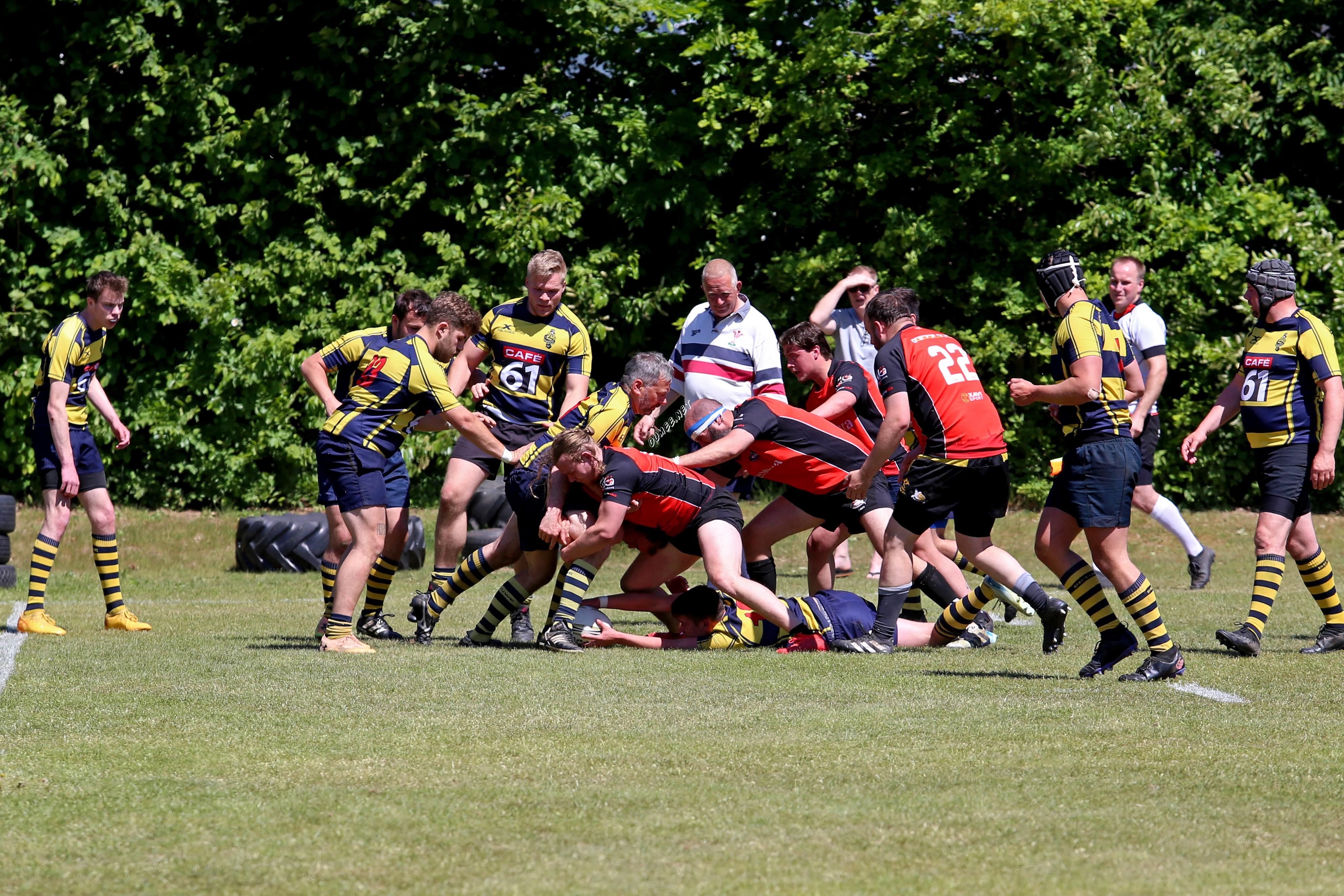 rugby senioren bokkerijders wallabys