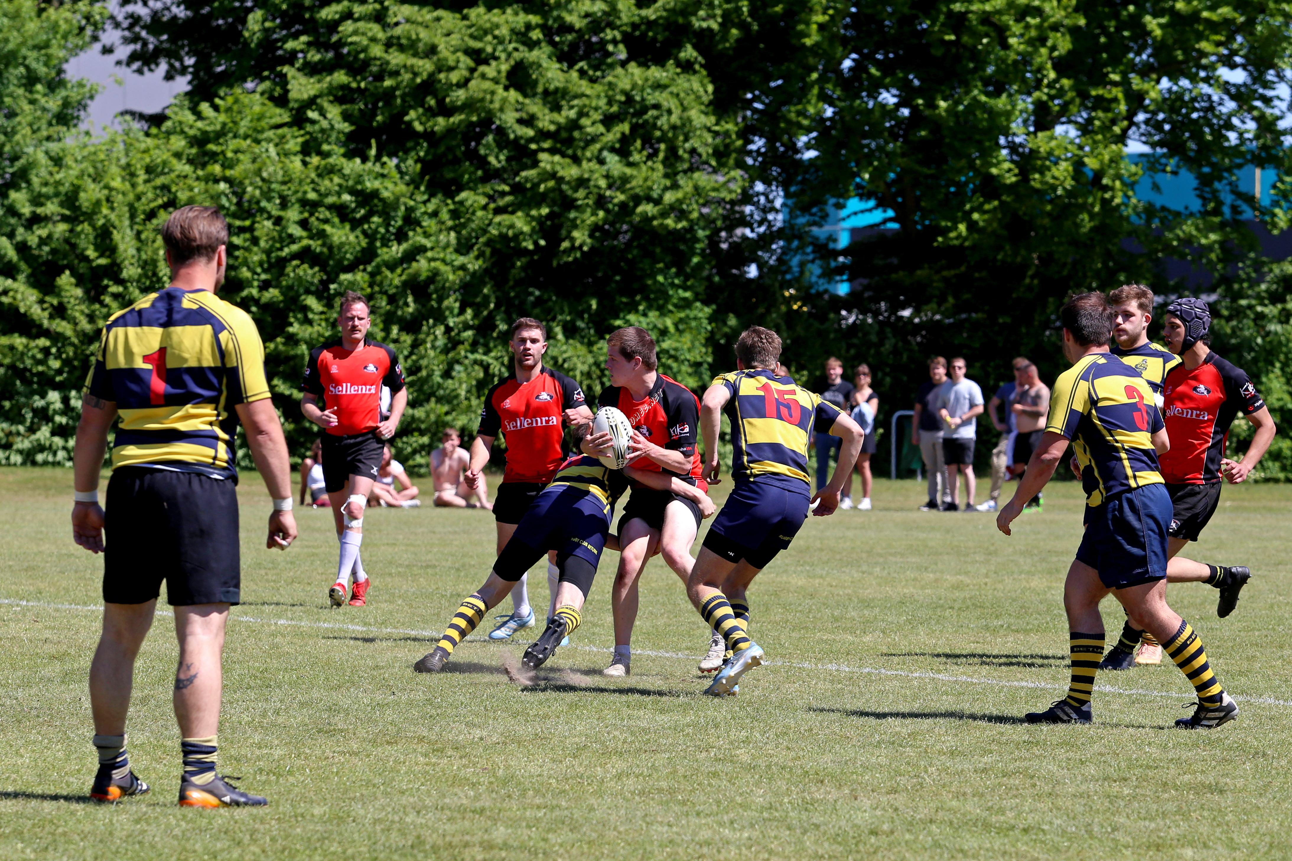 rugby senioren bokkerijders wallabys