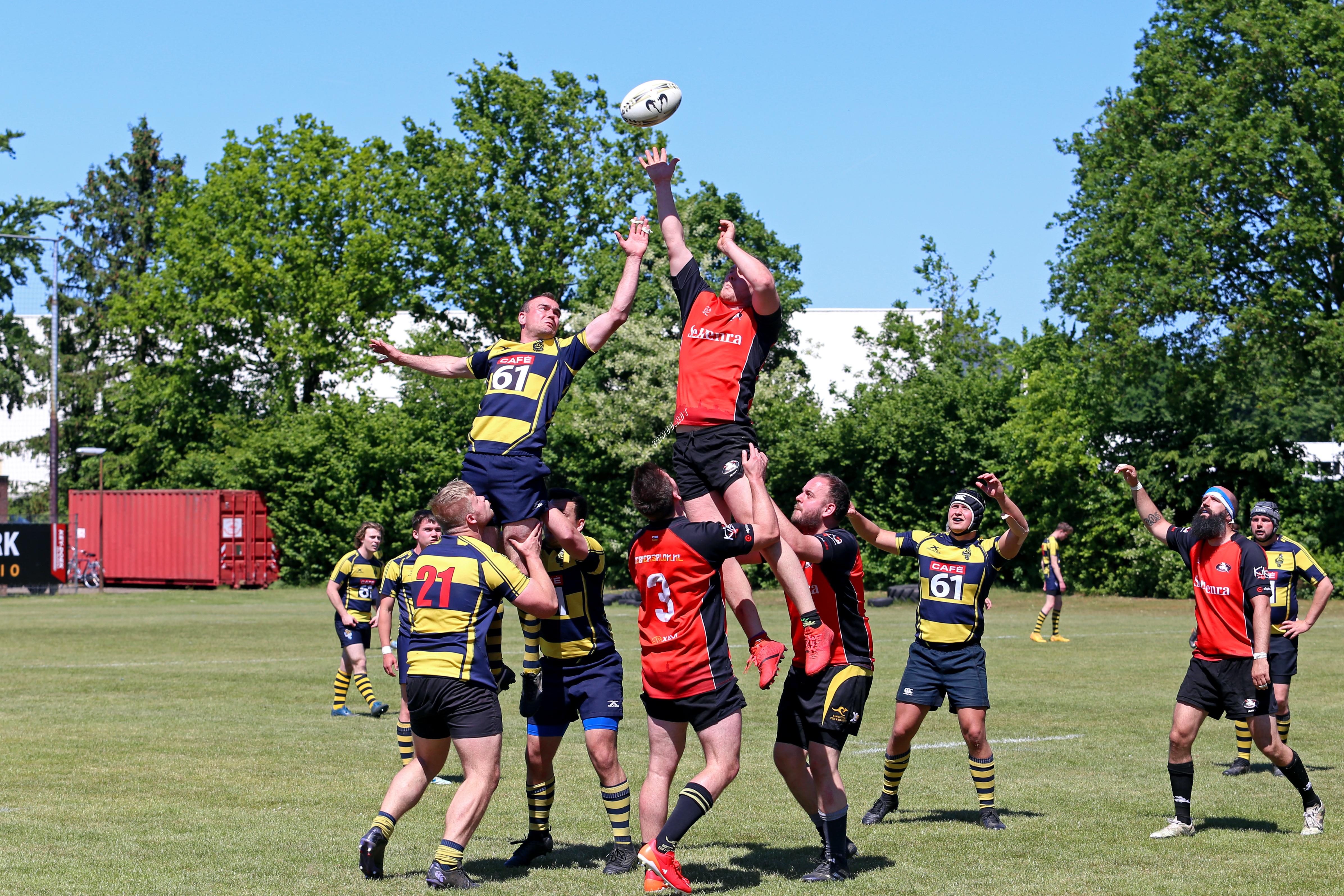 rugby senioren bokkerijders wallabys