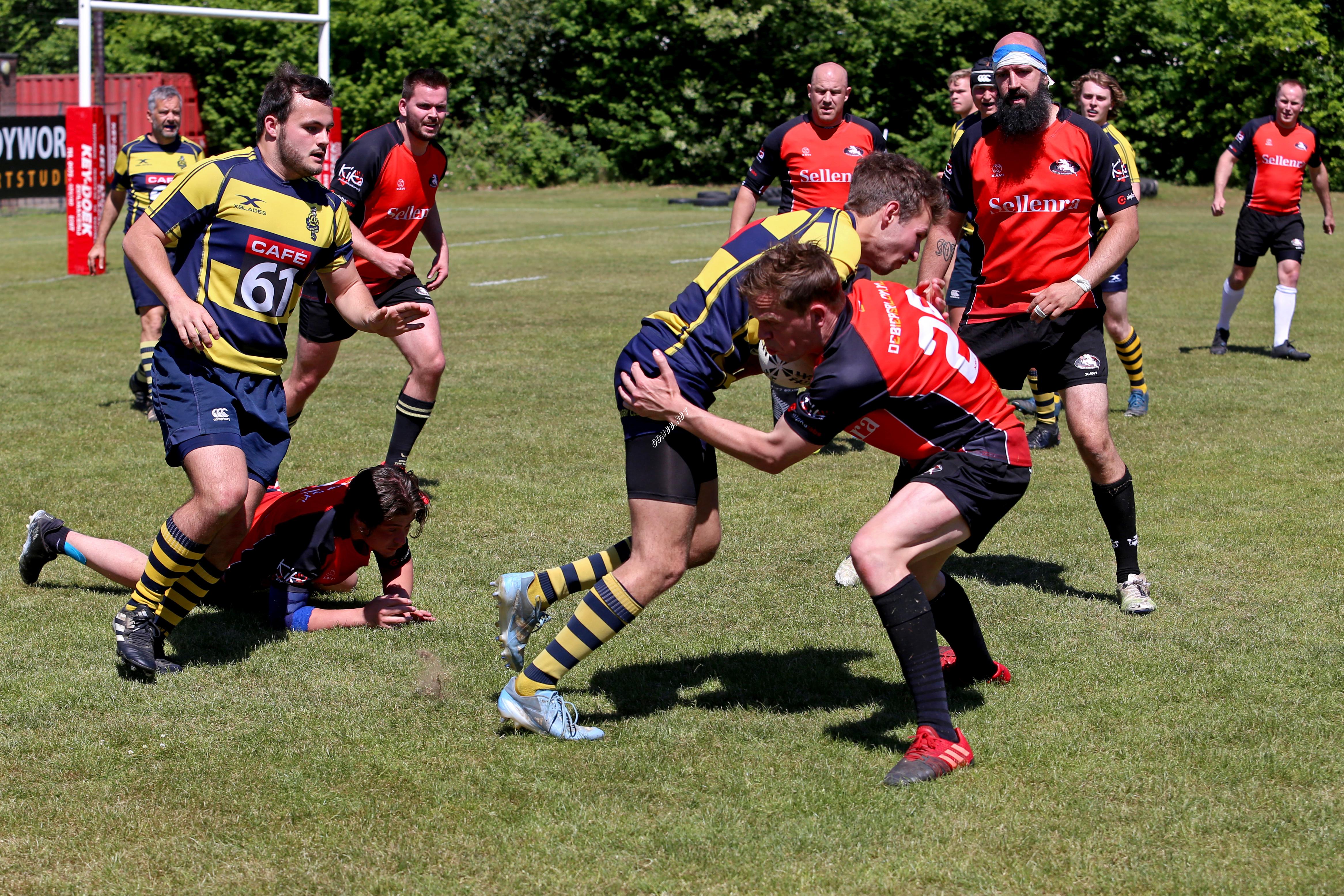 rugby senioren bokkerijders wallabys