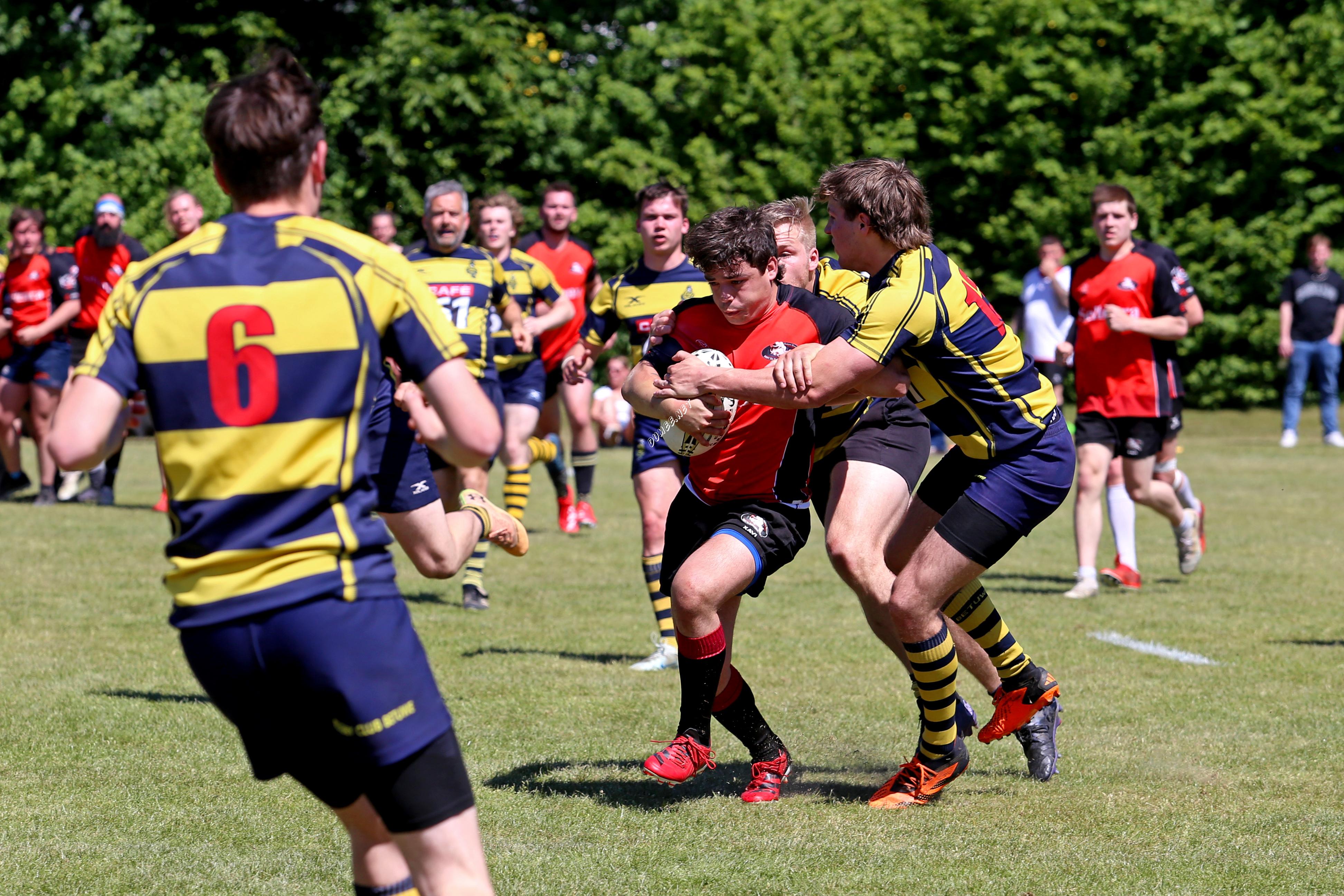 rugby senioren bokkerijders wallabys