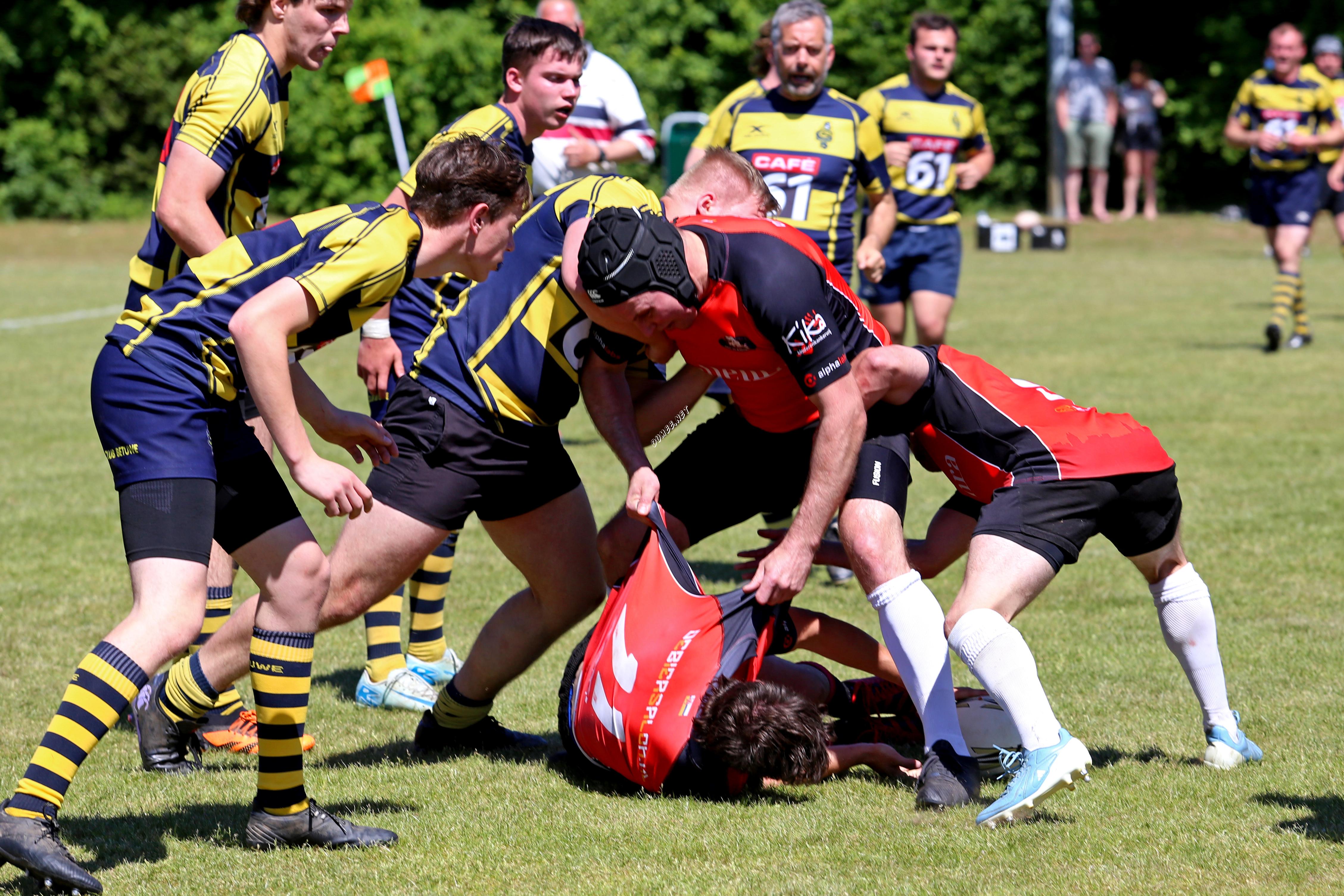 rugby senioren bokkerijders wallabys