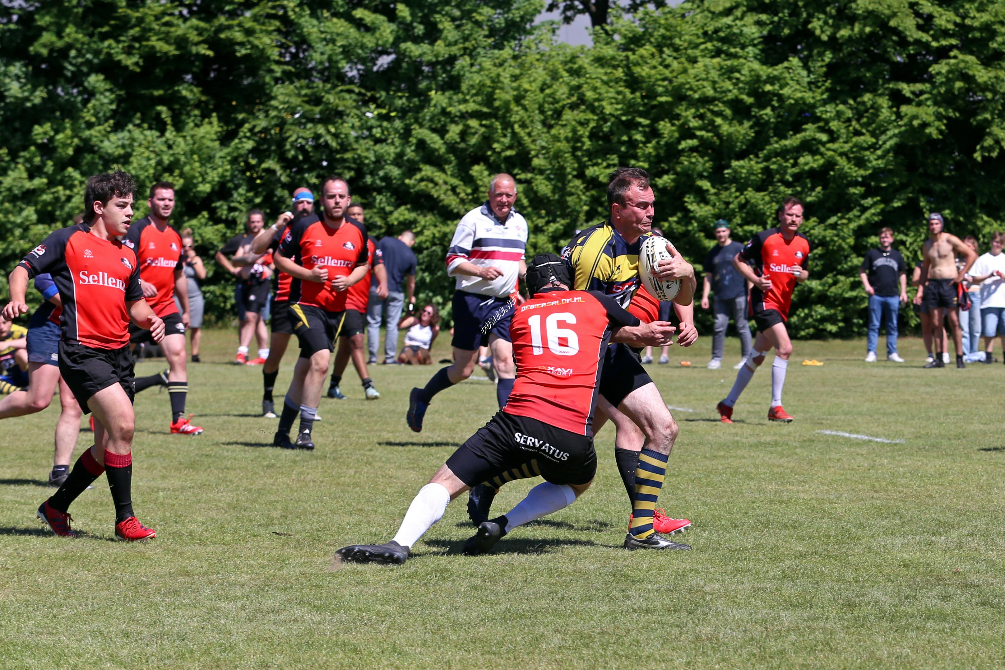 rugby senioren bokkerijders wallabys