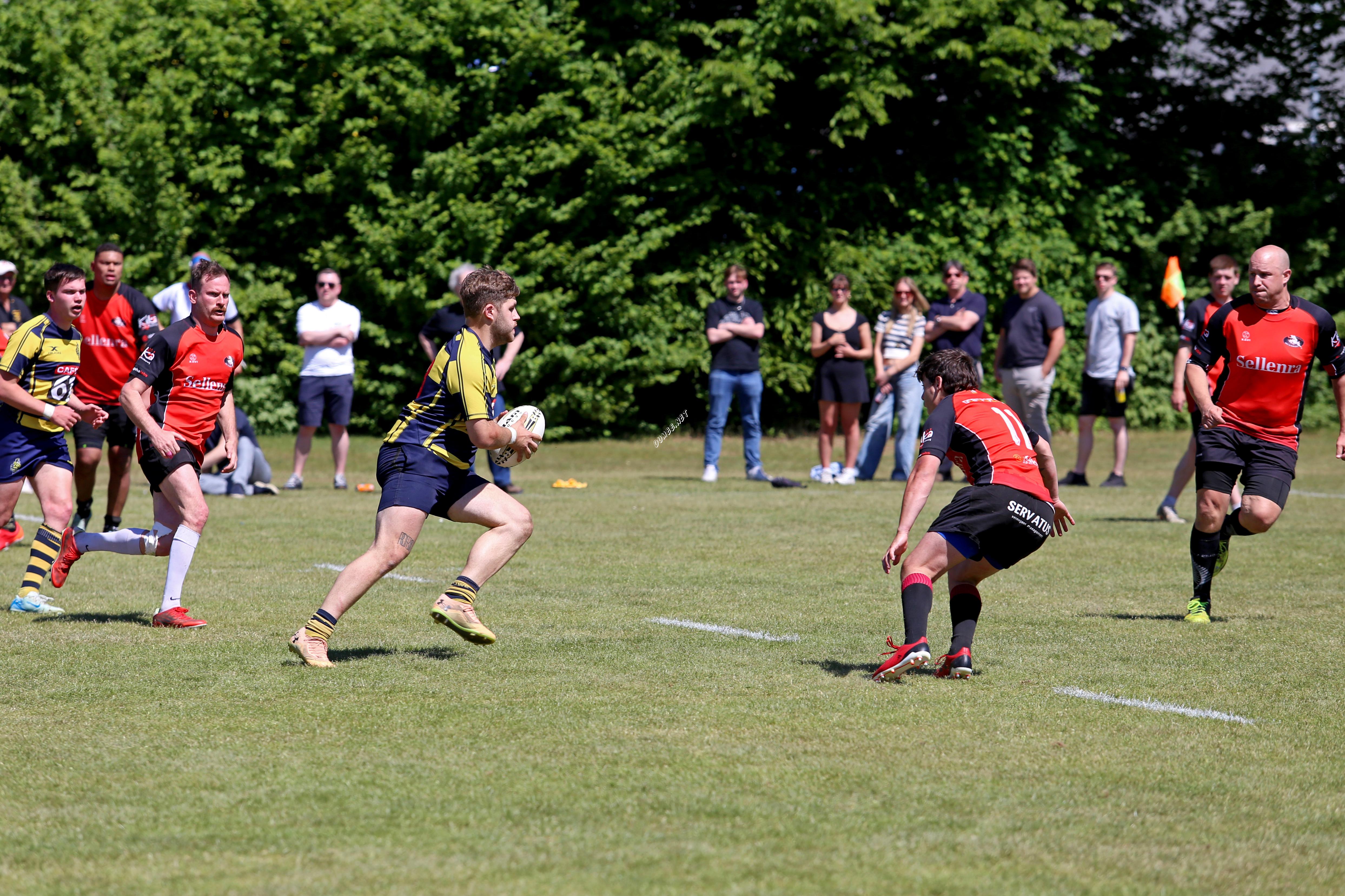 rugby senioren bokkerijders wallabys