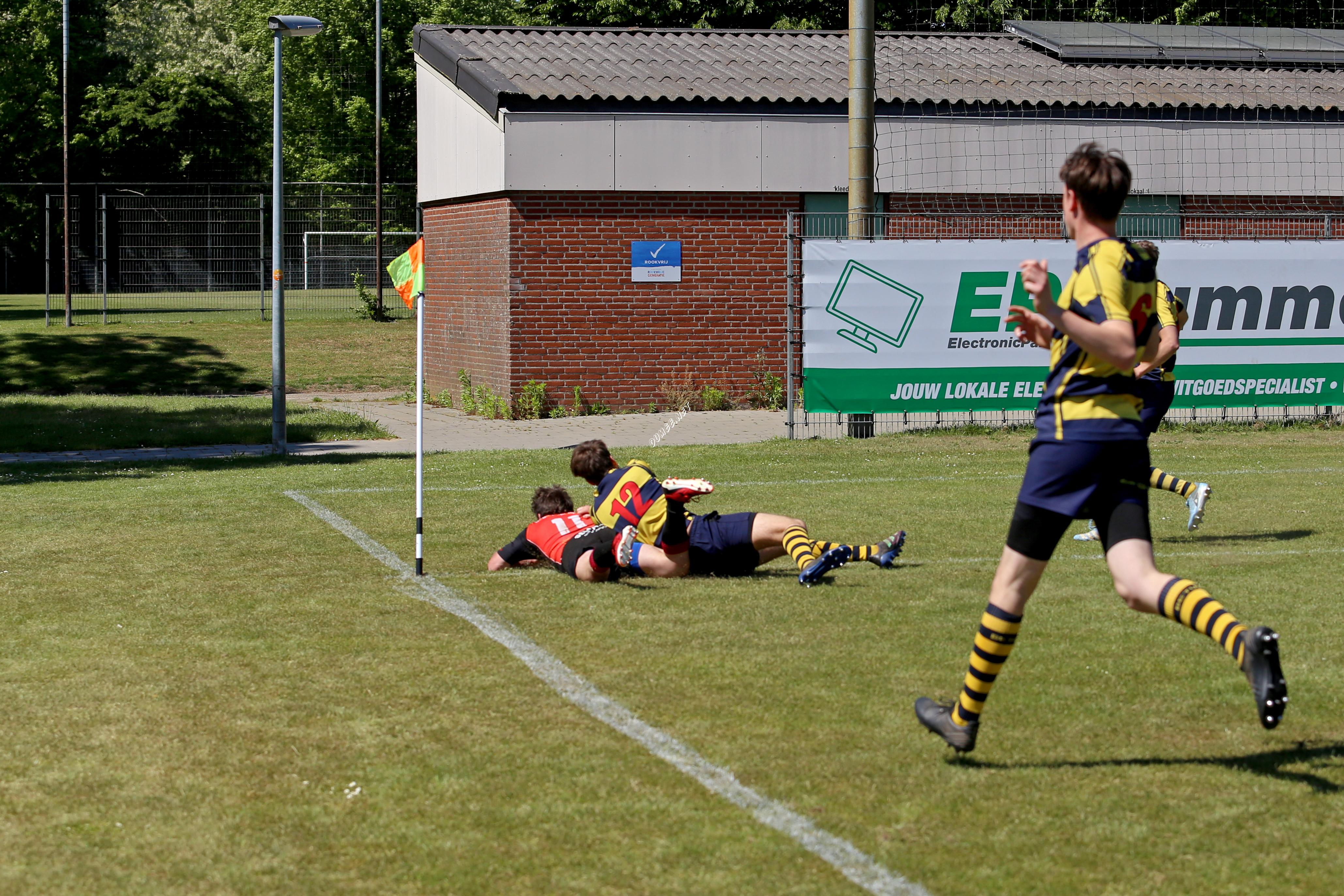 rugby senioren bokkerijders wallabys